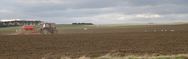 Landwirtschaft in Schottland