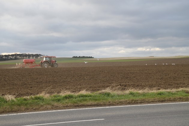 Landwirtschaft in Schottland