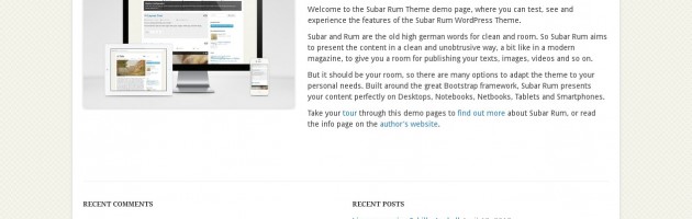 Example page template