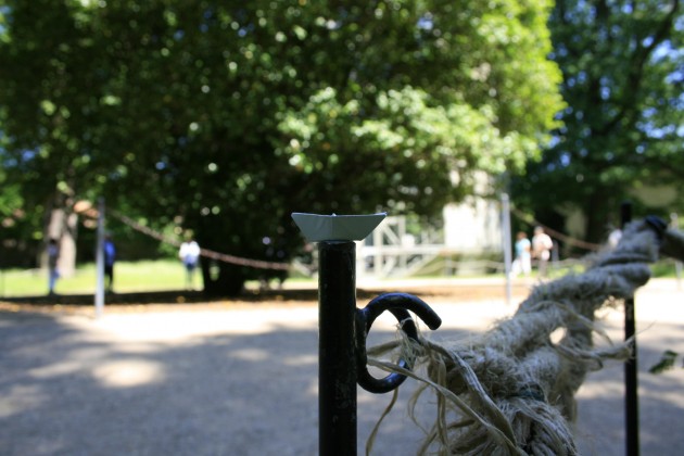 Das Schiffchen vor der Kamelie im Park von Schloss Pillnitz.