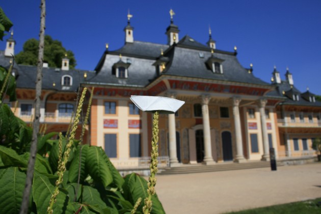 Das Schiffchen vor einem Seitenflügel von Schloss Pillnitz.