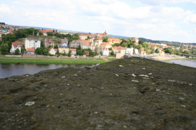 Das Schiffchen auf der Albrechtsburg in Meißen.