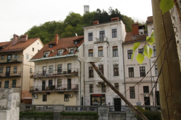 Das Schiffchen an der Ljubljanica in Ljubljana/Slowenien mit Blick auf die Burg.