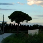 Landschaft in der Garonne