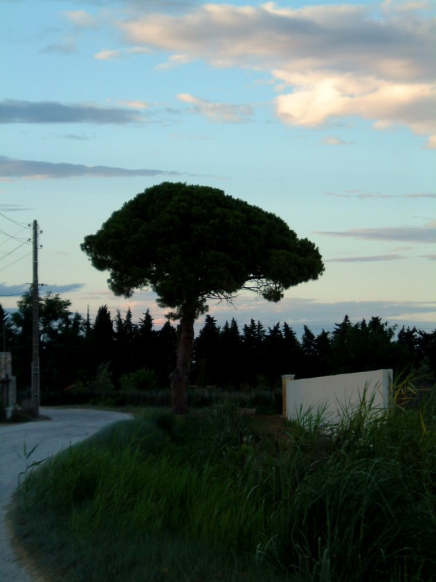 Landschaft in der Garonne