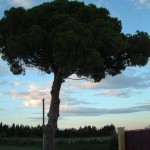 Landschaft in der Garonne