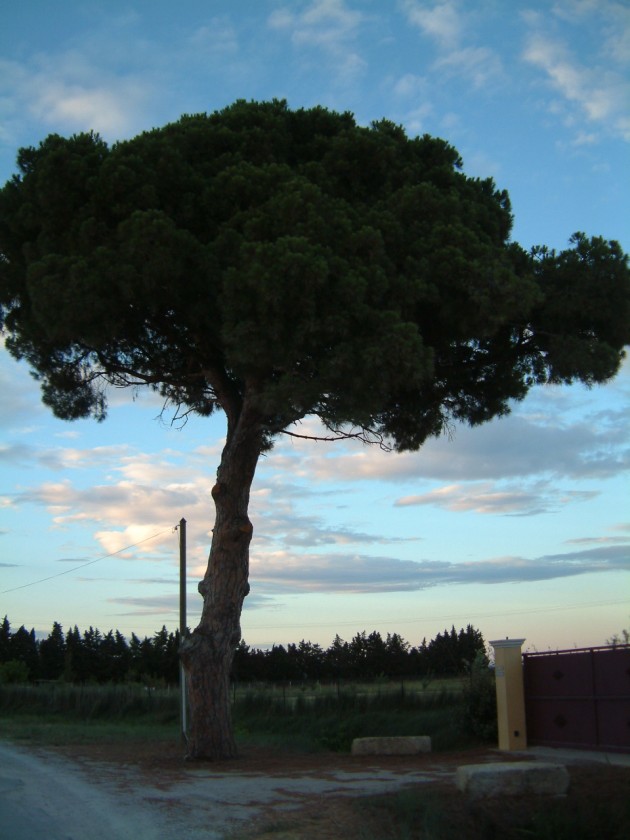 Landschaft in der Garonne