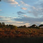 Landschaft in der Garonne