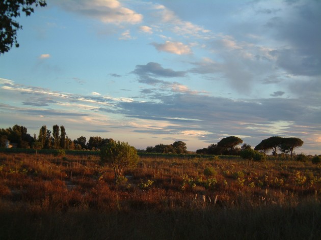 Landschaft in der Garonne