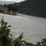 Bucht von Kotor