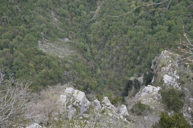 Vikos-Schlucht etwa 2,5 km nördlich von Monodendri