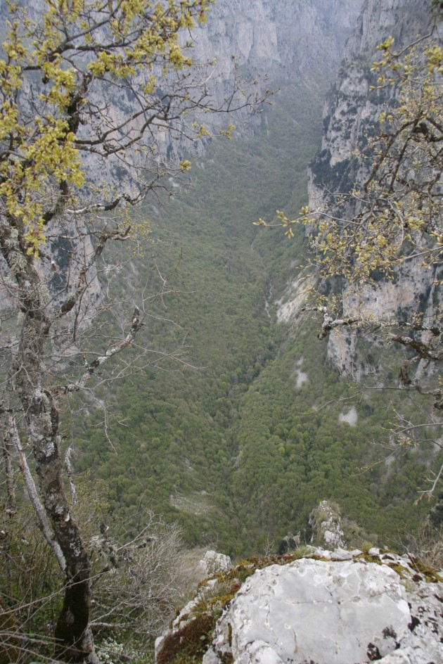 Vikos-Schlucht etwa 2,5 km nördlich von Monodendri