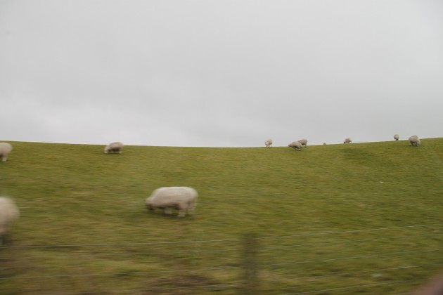 Mit dem Mietwagen durch Schottland