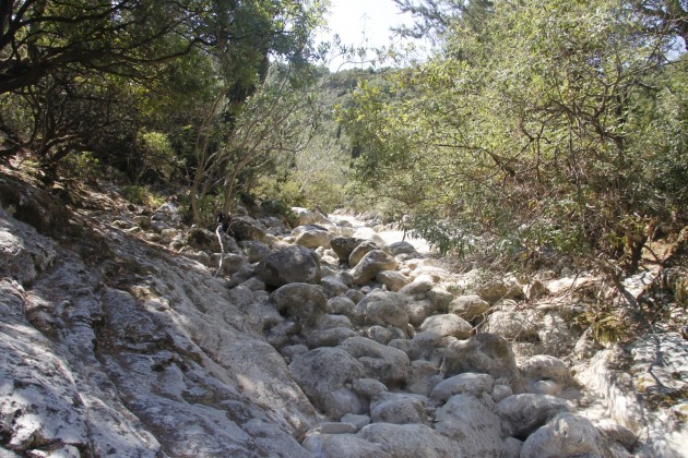 Im Sommer ausgetrocknetes Flussbett am Mühlenwanderweg