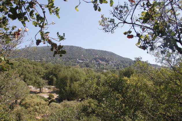 Blick über die Landschaft am Mühlenwandeweg südöstlich von Grizata