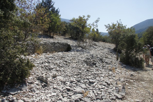 Vertrocknete Landschaft am Mühlenwanderweg