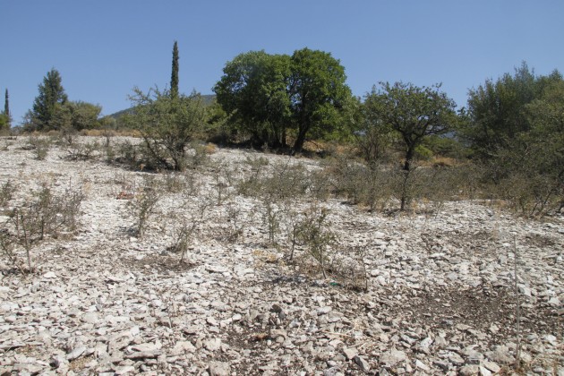 Vertrocknete Landschaft am Mühlenwanderweg