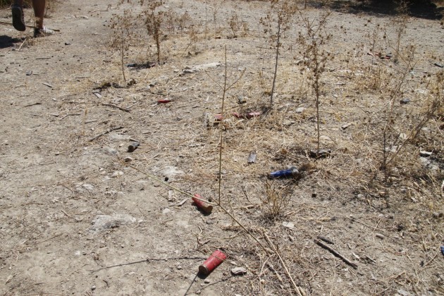 Patronenhülsen auf einem Feld am Mühlenwanderweg