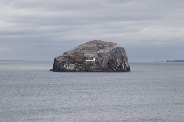 Insel The Bass bei Tantallon Castle