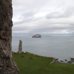 Tantallon Castle, The Bass