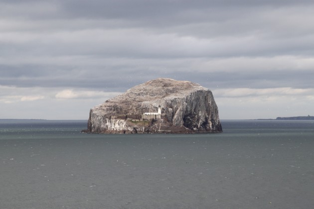 Insel The Bass bei Tantallon Castle