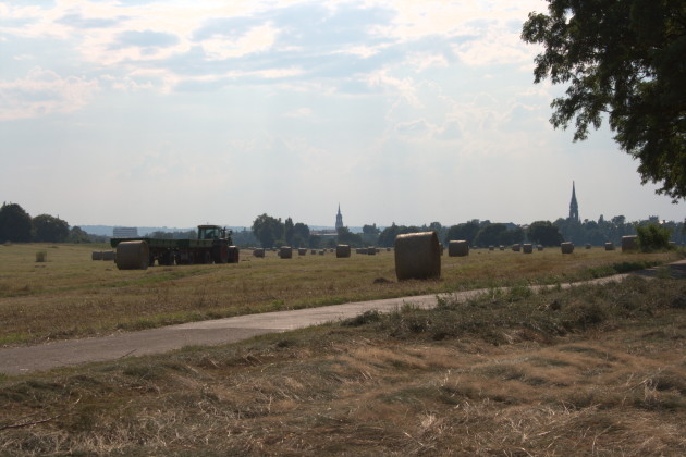 Heuernte auf den Elbwiesen vor Dresden