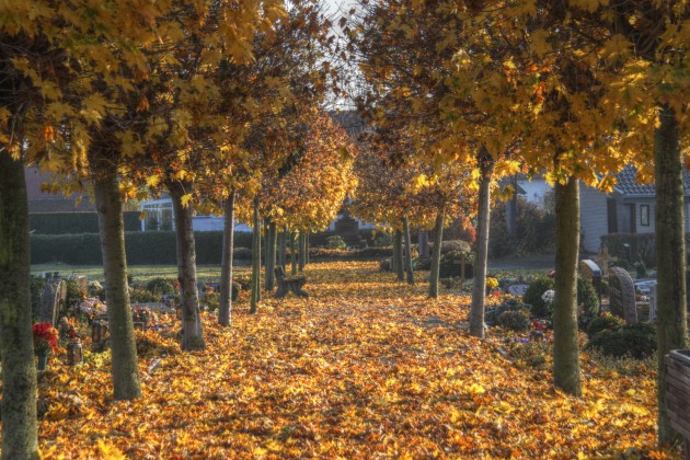 Herbstlaub auf dem Friedhof