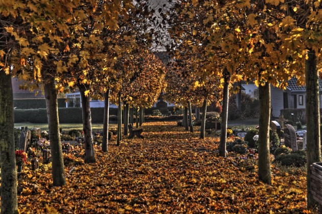 Herbstlaub auf dem Friedhof